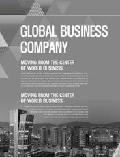 GLOBAL BUSINESS COMPANY